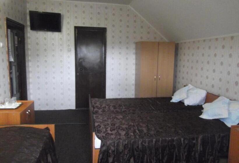 חדר סטנדרט לארבעה, Pensiunea Contour