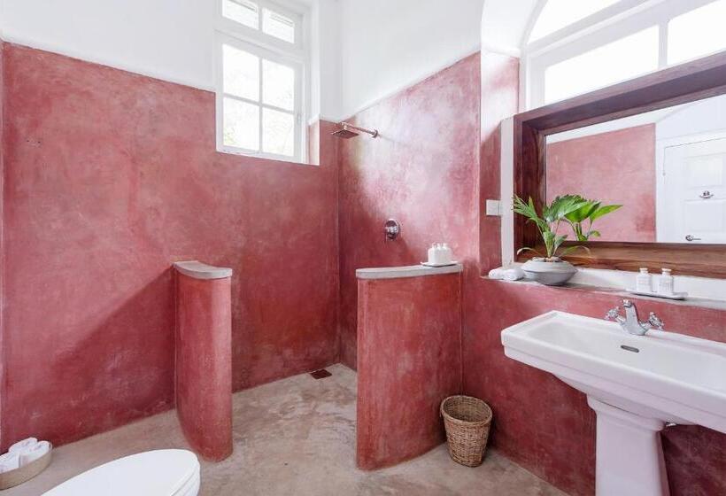 Suite, Ashburnham Tea Estate