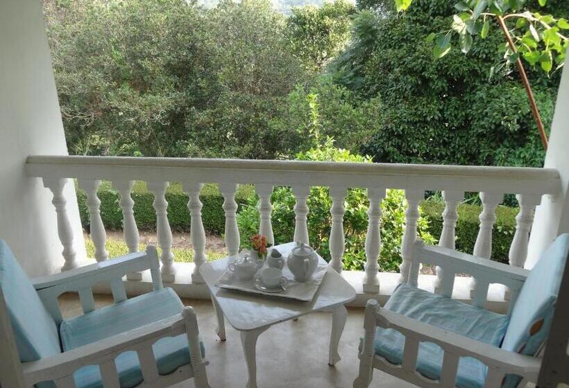 Номер Стандарт, Ashburnham Tea Estate