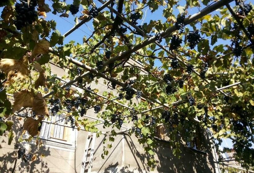 اتاق استاندارد با سرویس بهداشتی مشترک, Guest House Svetlana