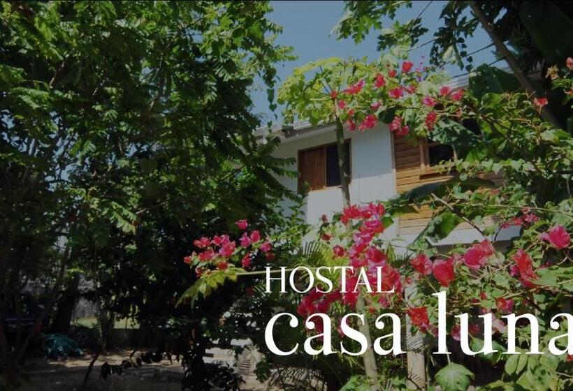 Студио Стандарт с Террасой, Hostal Casaluna San Andres