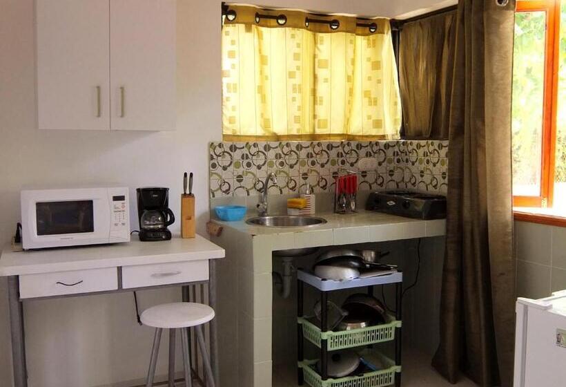 Студио Стандарт с Террасой, Hostal Casaluna San Andres