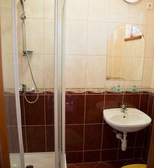 חדר סטנדרט יחיד, Rózsakert Apartmanház