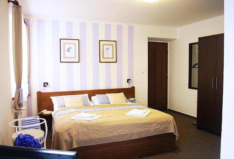 חדר סטנדרט, švihák Lázeňský