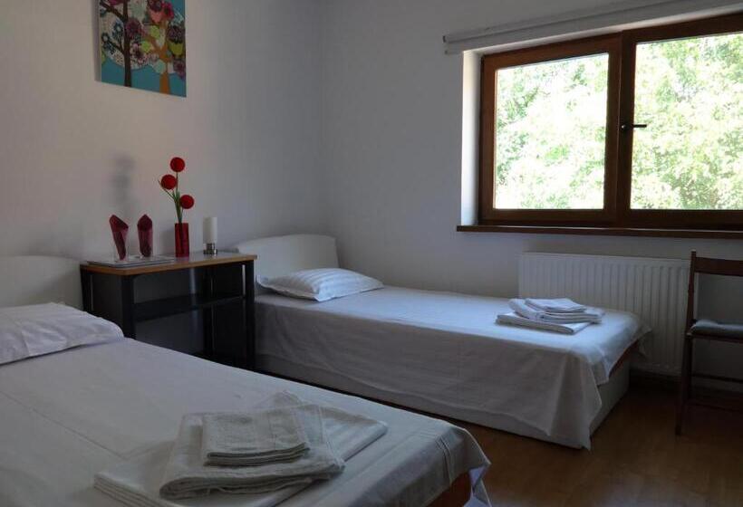 اتاق استاندارد با سرویس بهداشتی مشترک, Villa Zorba