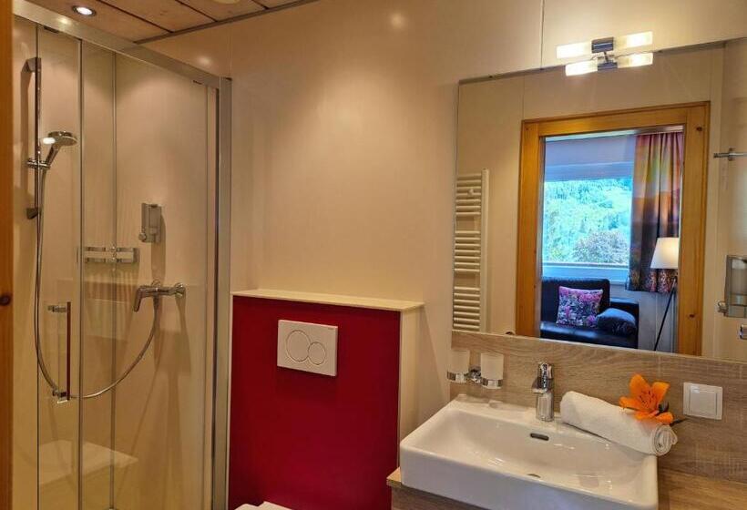 수피리어 룸, Alpenpension Gastein