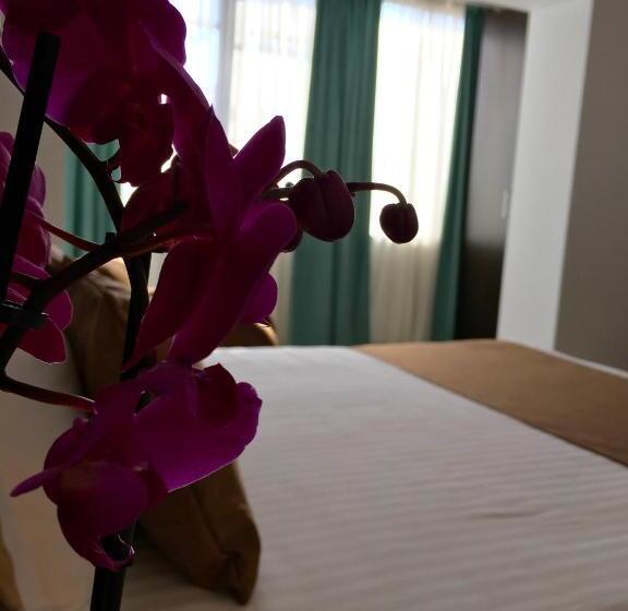 آپارتمان 1 خوابه, Elysium