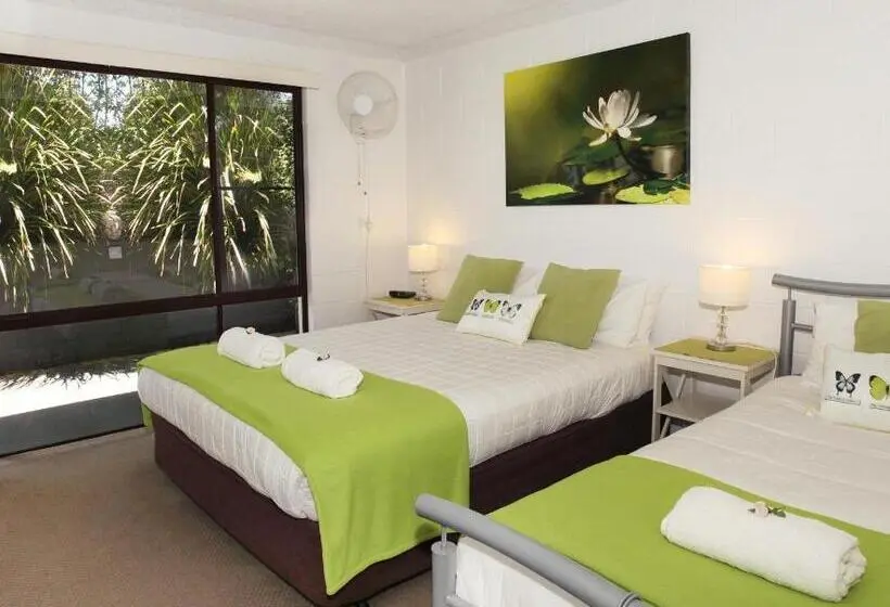 Apartamento 2 Dormitorios, Mapleton Falls Accommodation