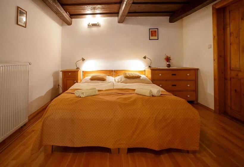 침실 1개 수피리어 아파트, Pension Paseka