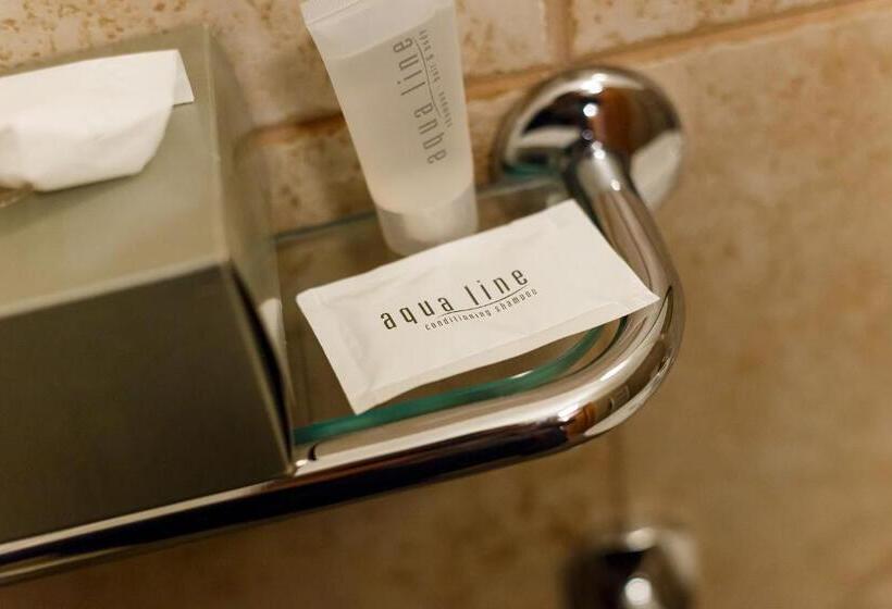 스탠다드 싱글 룸, Pension Paseka