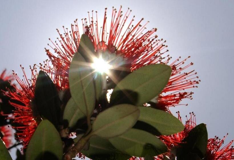 침실 2개 바다 전망 아파트, The Retreat Bay Of Islands