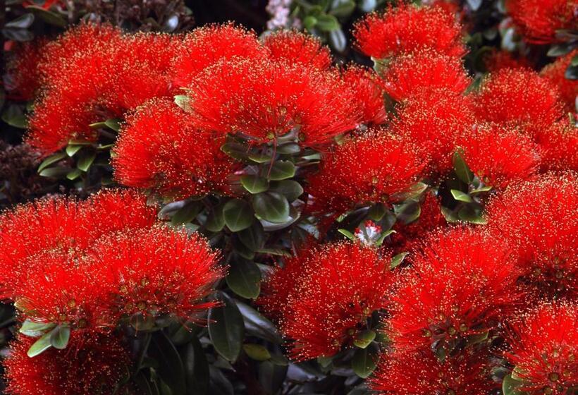 침실 1개 바다 전망 아파트, The Retreat Bay Of Islands