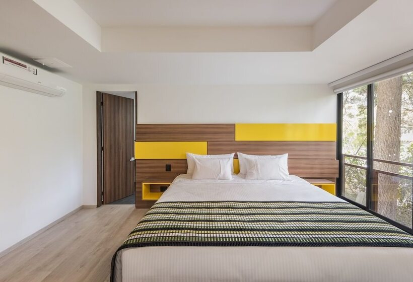 غرفة سوبيريور, Foresta