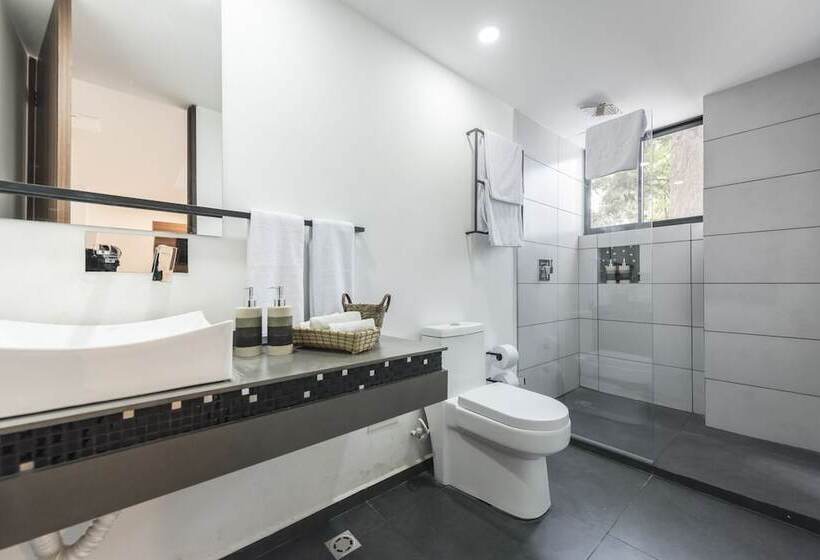 غرفة سوبيريور, Foresta