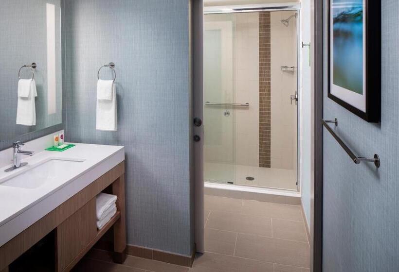 上層階スタンダードルーム, Hyatt Place Mount Pleasant Towne Centre
