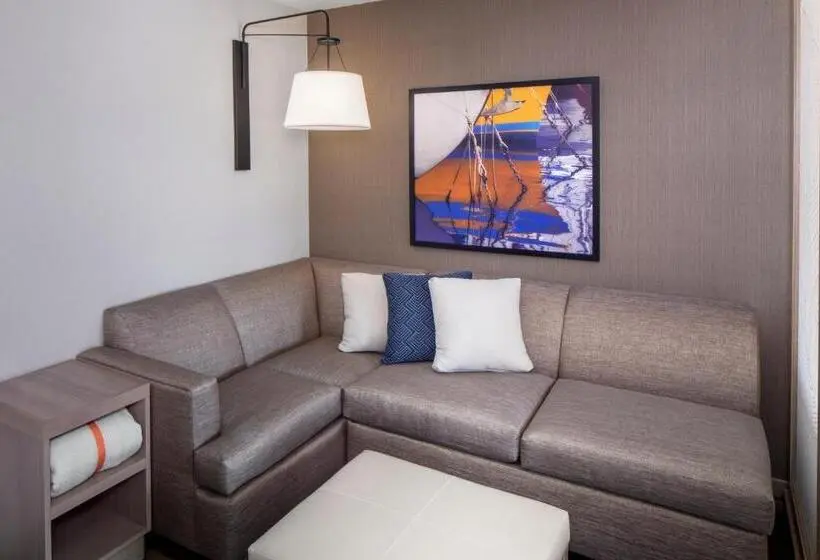 身障者適用キングサイズベッドルーム, Hyatt Place Mount Pleasant Towne Centre
