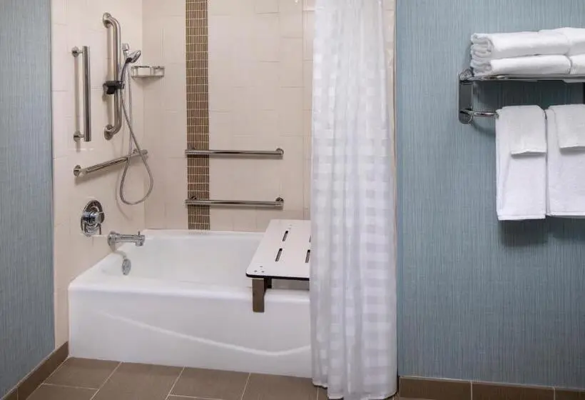 身障者適用クイーンサイズベッドルーム, Hyatt Place Mount Pleasant Towne Centre