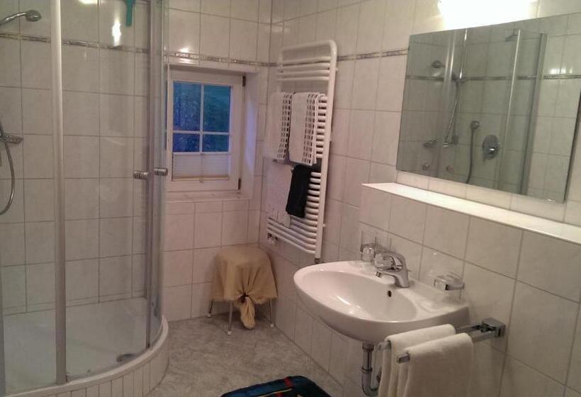 带1个卧室的公寓, Schusterhof