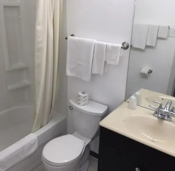 اتاق استاندارد با تخت بزرگ, Voyageur Motel