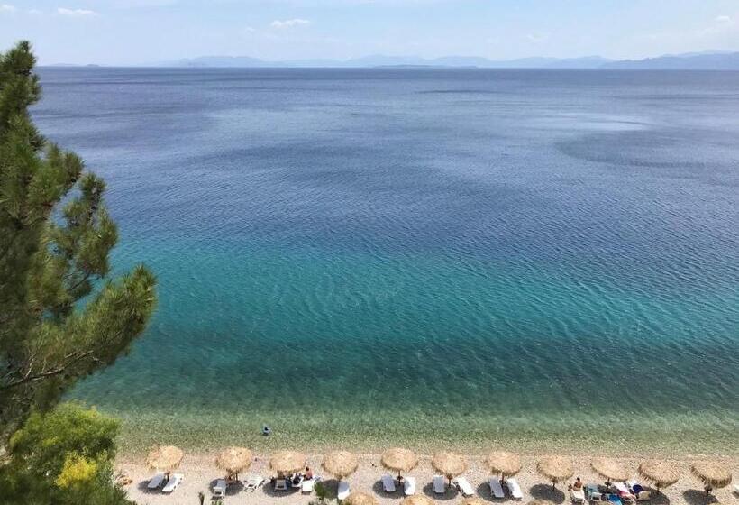 חדר סופריור לארבעה, Cokkinis