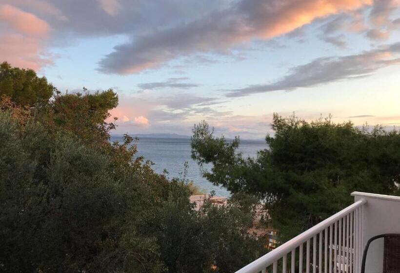 חדר סטנדרט, Cokkinis