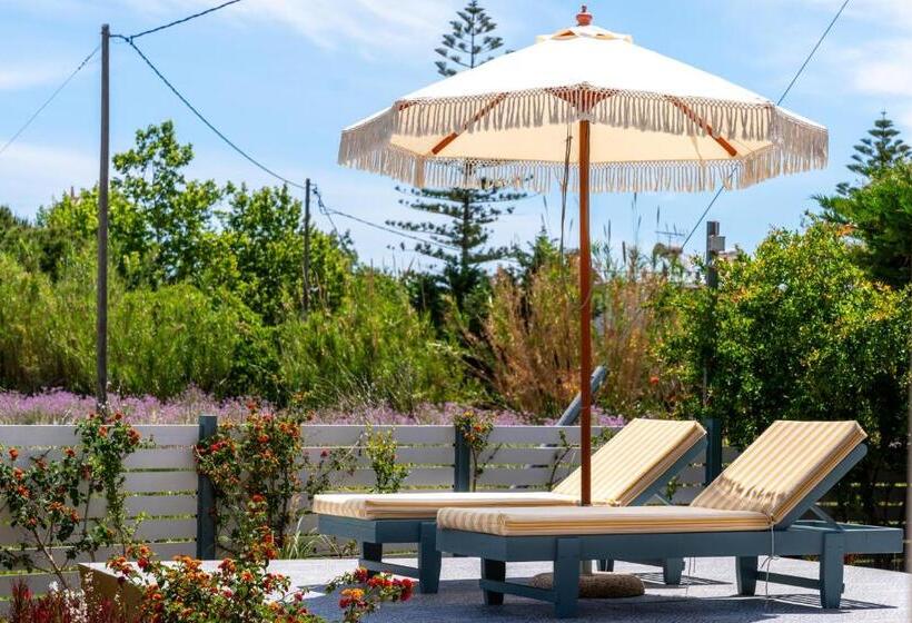 بانگلوی استاندارد, Memories Apartments