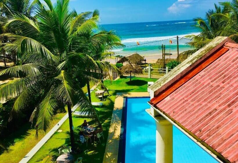 豪华海景房, Crystal Resort Dickwella