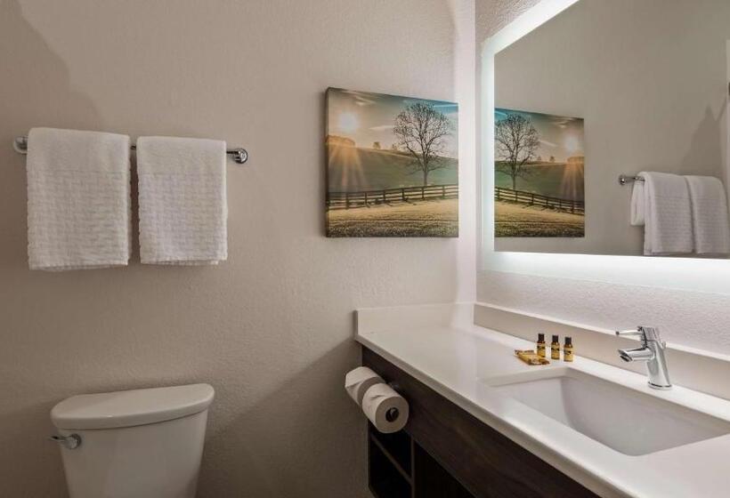 غرفة قياسية سرير كينج, Best Western Plus Elizabethtown Inn & Suites