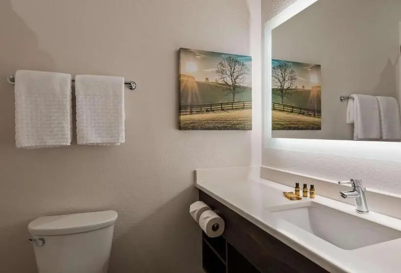 キングサイズベッドのスタンダードルーム, Best Western Plus Elizabethtown Inn & Suites