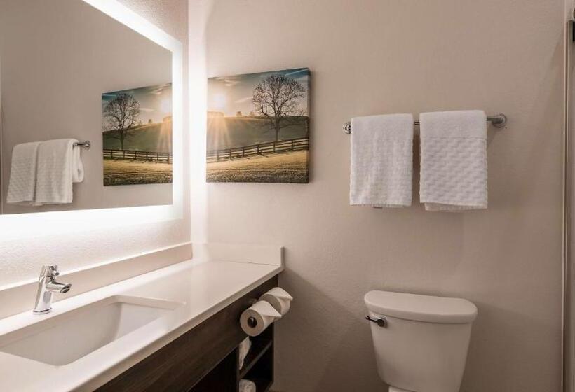 标准间, Best Western Plus Elizabethtown Inn & Suites