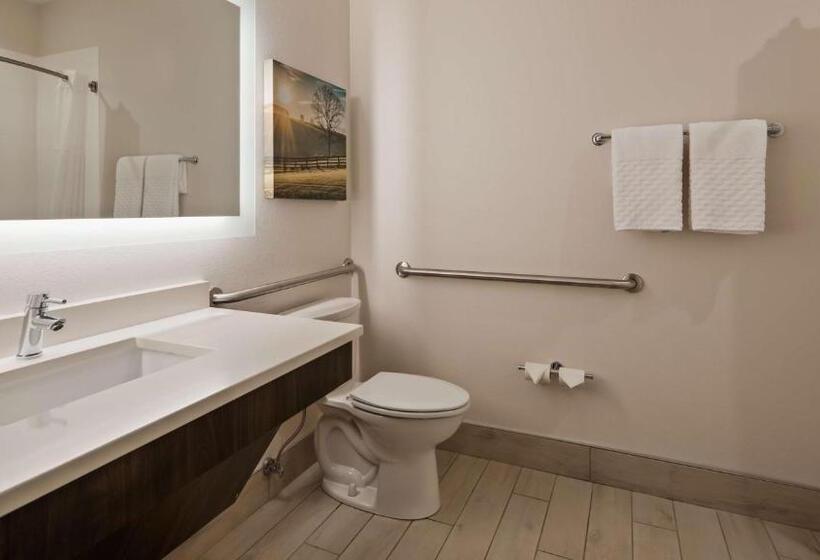 غرفة قياسية لذوى الاحتياجات الخاصة, Best Western Plus Elizabethtown Inn & Suites